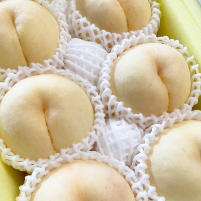 【2025年先行予約】2025年9月上旬頃より発送予定・希少品種の岡山の白桃・甘甘燦燦(2kg箱)【配送不可地域：離島】