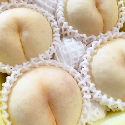 【先行予約】2026年8月上旬頃より発送予定・岡山の白桃・おかやま夢白桃(1.5kg箱)【配送不可地域：離島】