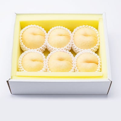 【2025年9月上旬より順次発送予定】しっかりした果肉と果汁たっぷりの岡山の白桃・恵白(1.5kg)【配送不可地域：離島】