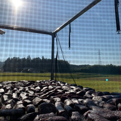 《なぎビーフ》 干し肉切っちゃいました125g×4パック　食べきりサイズ　津山名物【配送不可地域：離島】