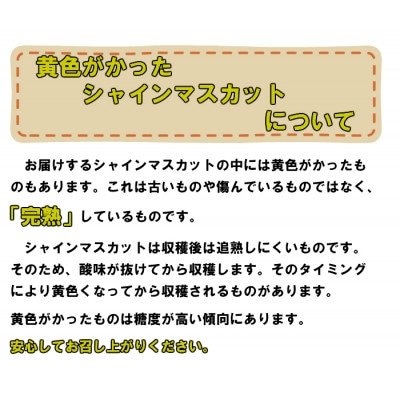 【2026年8月下旬以降順次発送】岡山名産【晴王】シャインマスカット1房約650g秀品!【配送不可地域：離島】