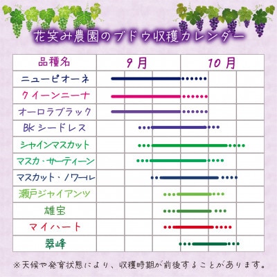 【2026年先行受付】岡山　花笑み農園の『クイーンニーナ＆シャインマスカット』1kg(2房)QS-1【配送不可地域：離島・北海道・沖縄県】