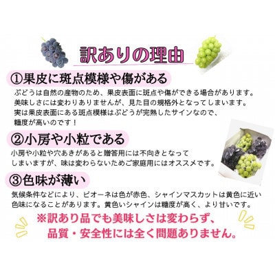 【2026年先行受付】お試しフルーツ王国岡山シャインマスカット2kg!　朝採れぶどう3～5房【配送不可地域：離島】