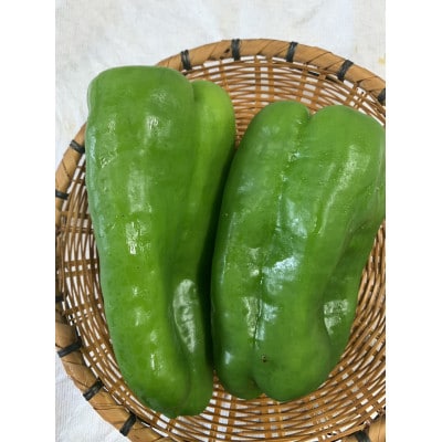 季節のおまかせ野菜セット【配送不可地域：離島】