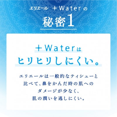 エリエール+Waterティシュー180W5P