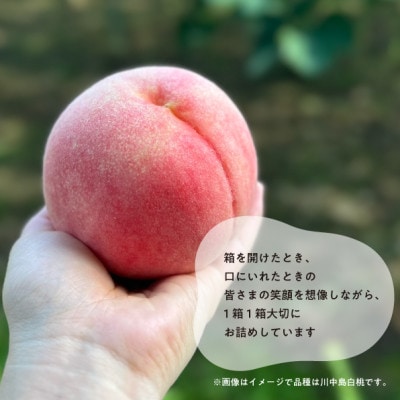 【2026年先行予約】特選品　旬採り桃　5-7玉　(岡山県産)【配送不可地域：離島】