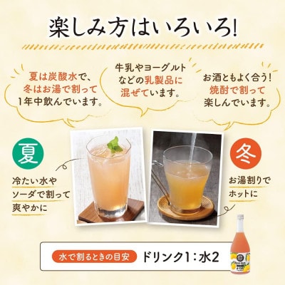 かりんハニードリンク(04325)