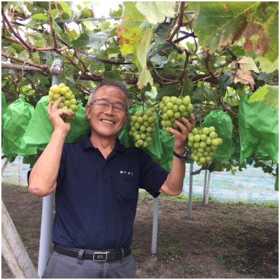 SUMU シャインマスカット・レイトハーベスト 2022(720ml)