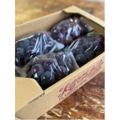 【2026年発送分】岡山県産 訳あり 朝摘みニューピオーネ 2kg(3～5房)【配送不可地域：離島】