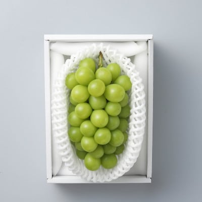 岡山県産　秋のシャインマスカット　1房【冷蔵】2026年発送【配送不可地域：離島・北海道・沖縄県】