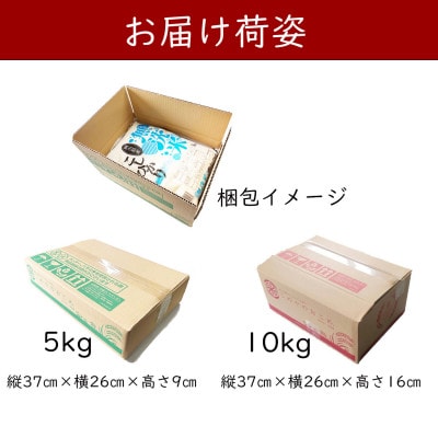 【無洗米】令和7年産 岡山県産 にじのきらめき 5kg×2袋(合計10kg)
