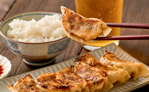 津山黒豚手作り冷凍生餃子(100個セット)【配送不可地域：離島】