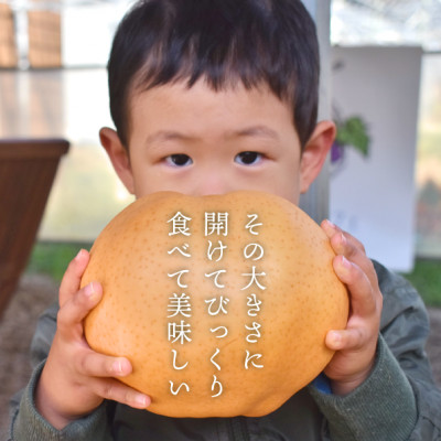 【2025年発送】あたご梨 上級品 2玉入(1kg級/玉)(岡山県産)  お歳暮やギフトにおすすめ