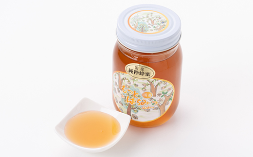 津山市産 山蜂蜜　600g