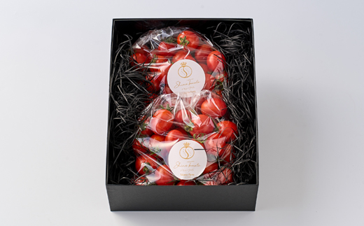 シャイントマト　1キロ 500g×2袋【配送不可地域：離島・北海道・沖縄県・東北・関東・信越、北陸】