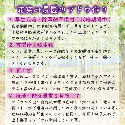 【2026年先行受付】岡山　花笑み農園の『食べ比べ4種』シャイン入り　贈答用　2kg(4房)4M-2【配送不可地域：離島・北海道・沖縄県】