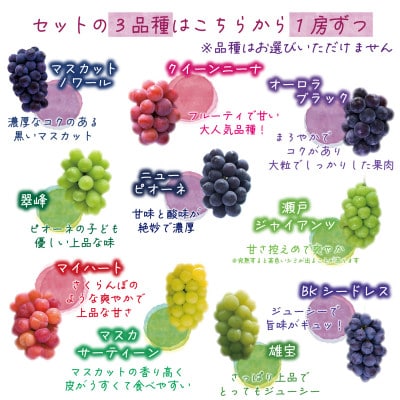 【2026年先行受付】岡山　花笑み農園の『食べ比べ4種』シャイン入り　家庭用　2kg(4房)4M-2【配送不可地域：離島・北海道・沖縄県】