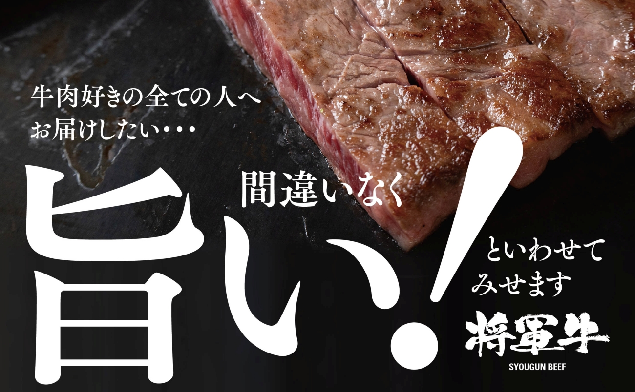 【将軍牛】特選ロースステーキ 500g【配送不可地域：離島・北海道・沖縄県】