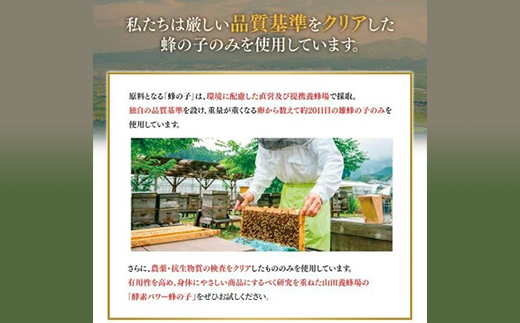 【毎月定期便】酵素パワー蜂の子 (21512)全12回