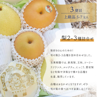 【発送月固定定期便】【2026年先行予約】岡山の桃、ぶどう、梨を産地直送!多品種を楽しむ定期便全3回【配送不可地域：離島・北海道・沖縄県】