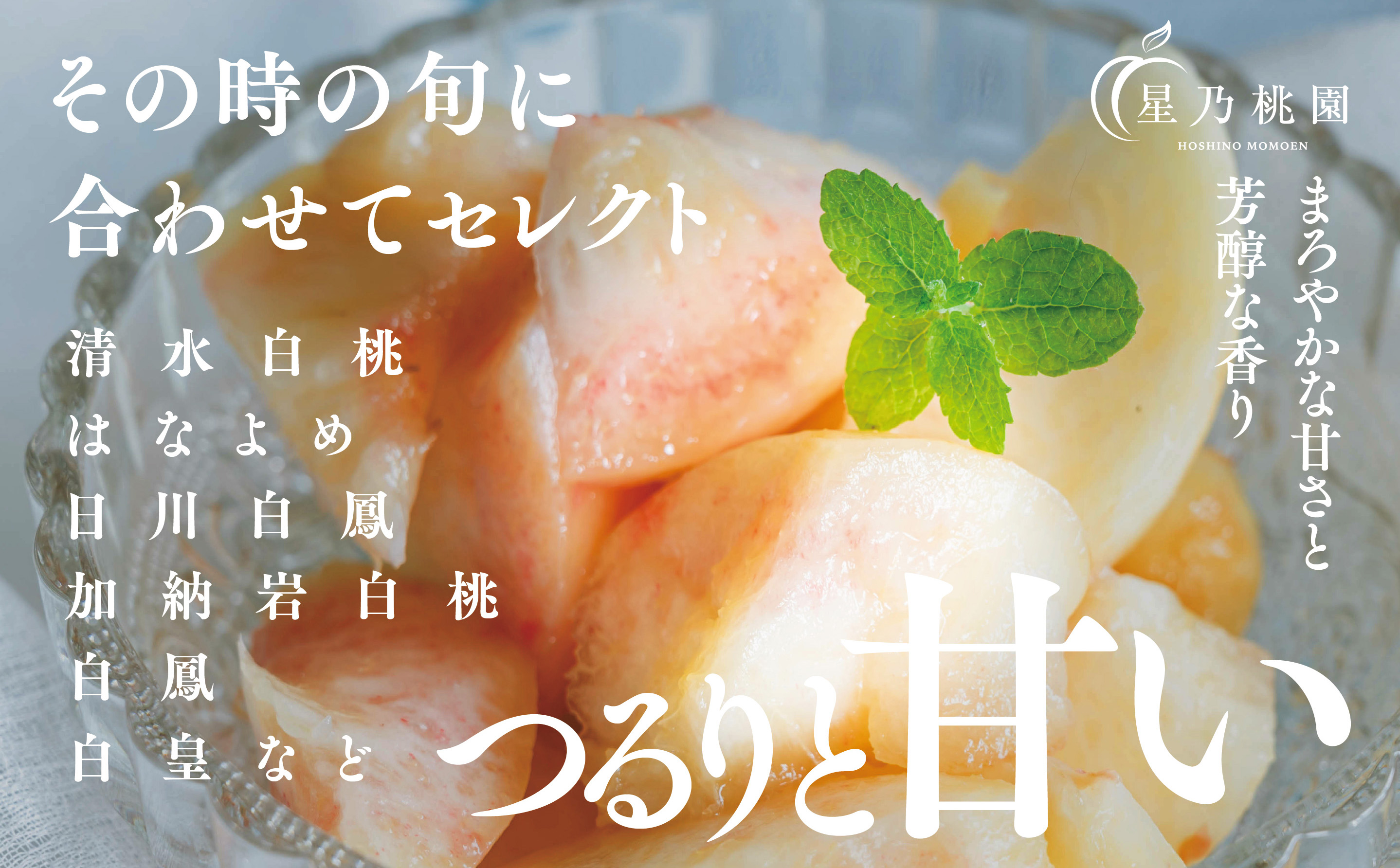 【発送月固定定期便】【人気セット】星乃フルーツ 桃+シャインマスカット全2回【配送不可地域：離島・北海道・沖縄県】