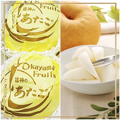 【発送月固定定期便】岡山県産 フルーツ定期便B全5回【配送不可地域：離島・北海道・沖縄県】