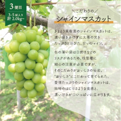 【発送月固定定期便】【2026年先行予約】桃、ピオーネ、シャインマスカット定期便 (岡山県産)全3回【配送不可地域：離島】