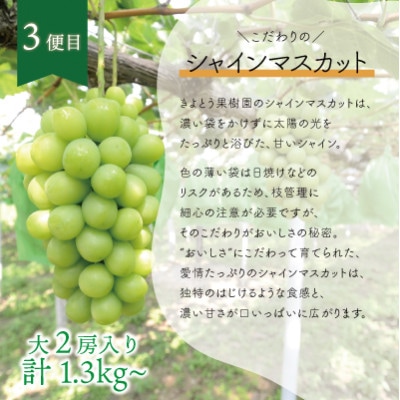 【発送月固定定期便】【2026年先行予約】旬採り桃とピオーネ、シャインマスカットが届く/岡山産全3回【配送不可地域：離島】