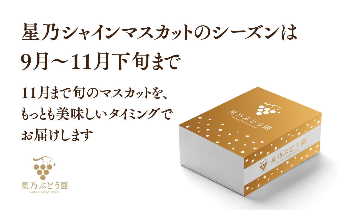【先行受付】星乃シャインマスカット 数量限定 (岡山県産) 2房(1.3kg以上)【配送不可地域：離島・北海道・沖縄県】