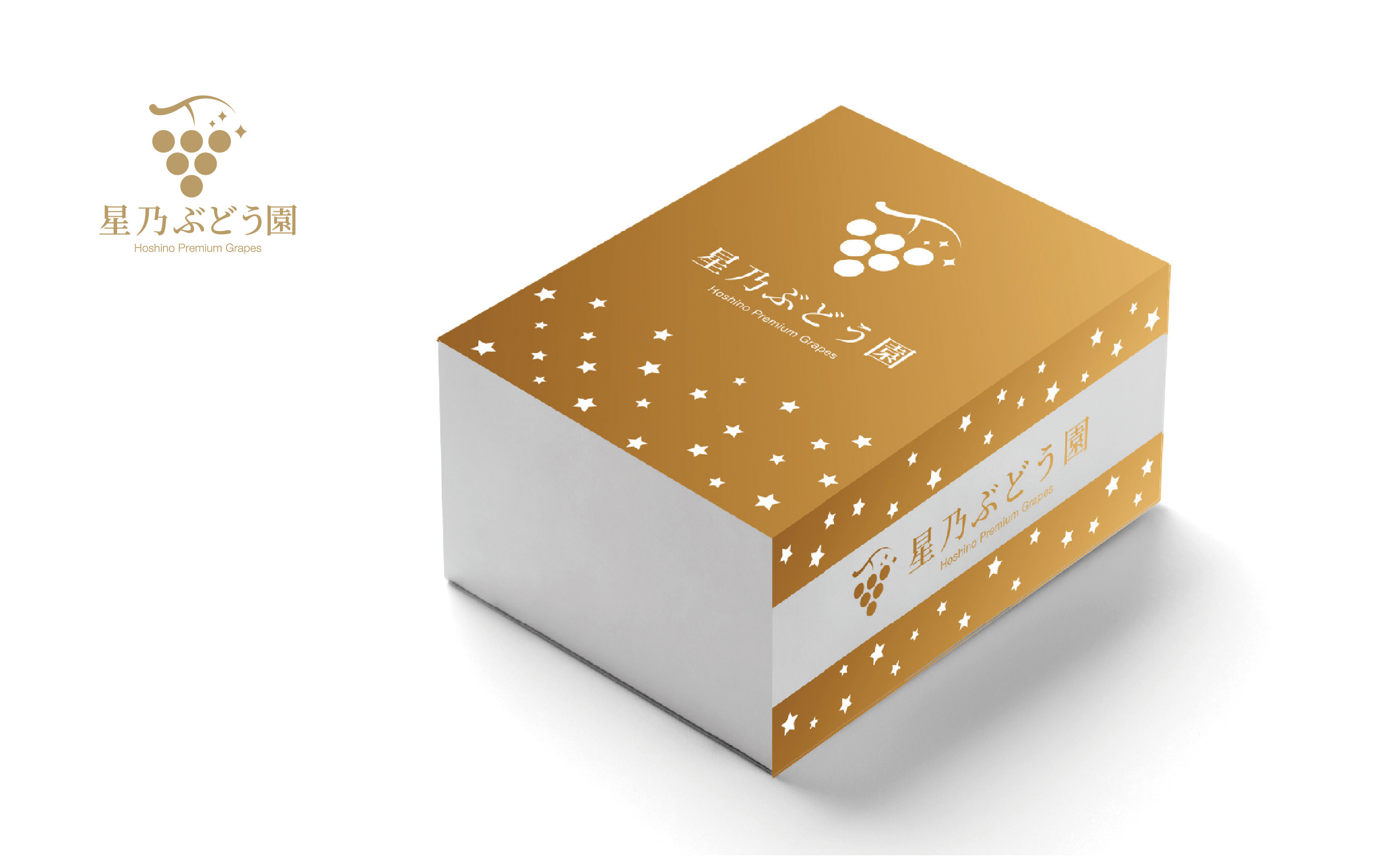 2026発送【訳あり】粒の大きさが不揃い 星乃シャインマスカット1.3kg 2房～4房入り【配送不可地域：離島・北海道・沖縄県】