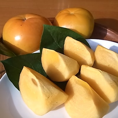 【先行受付】津山産高級大甘柿　太秋大甘柿【配送不可地域：離島】