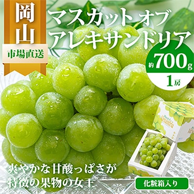 【先行受付】岡山県産マスカットオブアレキサンドリア1房(秀品以上・700g以上)化粧箱入り【配送不可地域：離島・北海道・沖縄県】