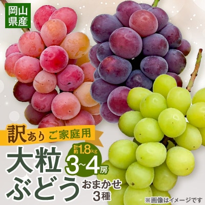 【2026年9月下旬発送】訳あり大粒ぶどう3種セット(シャインマスカット・ピオーネ等3種おまかせ)