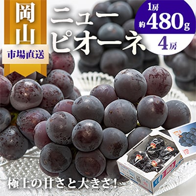 【先行受付】岡山県産　ニューピオーネ4房(1房480g以上・合計約2kg)【配送不可地域：離島・北海道・沖縄県】