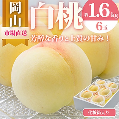 【先行受付】岡山県産　白桃6玉(1.6kg以上)　化粧箱入り【配送不可地域：離島・北海道・沖縄県】