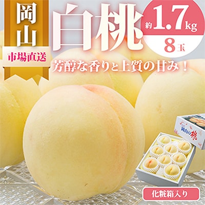 【先行受付】岡山県産　白桃8玉(1.7kg以上)　化粧箱入り【配送不可地域：離島・北海道・沖縄県】