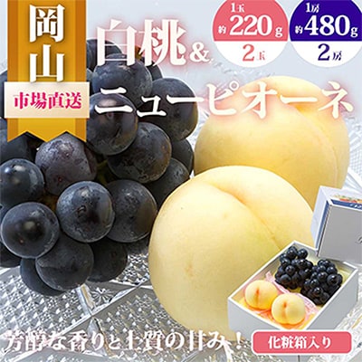 【先行受付】岡山県産　詰合せ/白桃とニューピオーネ　化粧箱入り【配送不可地域：離島・北海道・沖縄県】