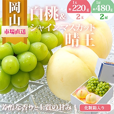 【先行受付】岡山県産　詰合せ/白桃とシャインマスカット『晴王』 化粧箱入り【配送不可地域：離島・北海道・沖縄県】