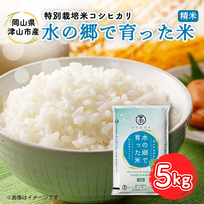 【岡山県津山市加茂町産】水の郷で育った米5kg(特別栽培米コシヒカリ)