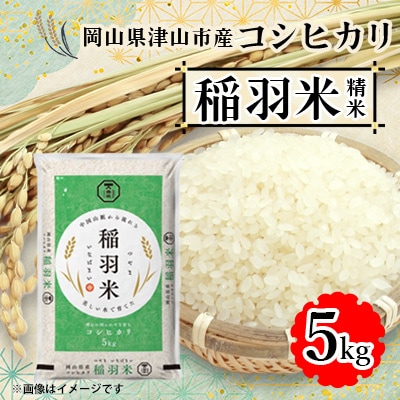 【岡山県津山市産】稲羽米5kg(コシヒカリ)