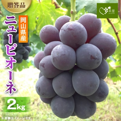 新鮮・朝採り後即出荷!　岡山県　吉備高原産ニューピオーネ　2kg箱(3～4房入)ご贈答品