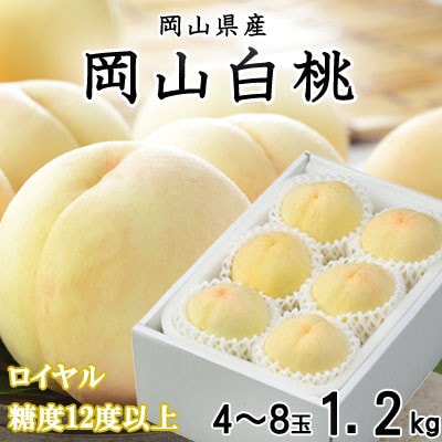 【先行受付】岡山白桃 ロイヤル 4～8玉 1.2kg 岡山県産【配送不可地域：離島・北海道・沖縄県】