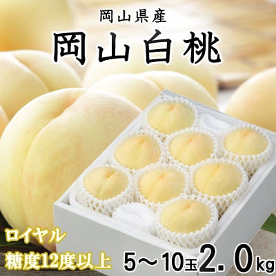 【先行受付】岡山白桃 ロイヤル 5～10玉 2kg 岡山県産【配送不可地域：離島・北海道・沖縄県】