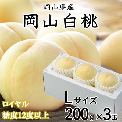 【先行受付】岡山白桃 ロイヤル 3玉×200g (Lサイズ) 岡山県産【配送不可地域：離島・北海道・沖縄県】