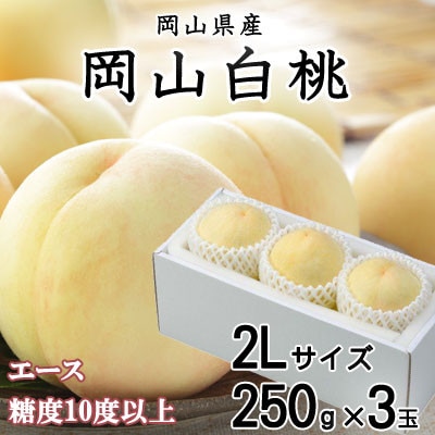 【先行受付】岡山白桃 エース 3玉×250g(2Lサイズ) 岡山県産【配送不可地域：離島・北海道・沖縄県】