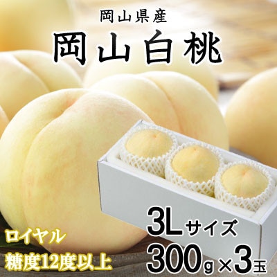 【先行受付】岡山白桃 ロイヤル 3玉×300g(3Lサイズ) 岡山県産【配送不可地域：離島・北海道・沖縄県】