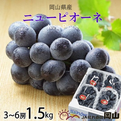 【2026年6月下旬より順次発送】岡山県産 ニューピオーネ 1.5kg(3房～6房)【配送不可地域：離島・北海道・沖縄県】