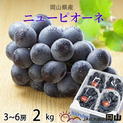 【2026年6月下旬より順次発送】岡山県産 ニューピオーネ 2kg(3房～6房)【配送不可地域：離島・北海道・沖縄県】
