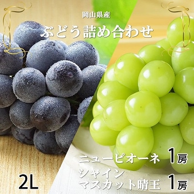 【2026年6月下旬より順次発送】岡山県産シャインマスカット 晴王・ニューピオーネ2Lサイズ詰合せ【配送不可地域：離島・北海道・沖縄県】