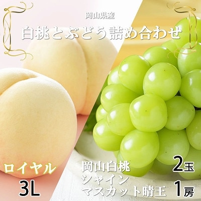 【先行受付】岡山県産　岡山白桃ロイヤル3L300g×2玉・シャインマスカット晴王600g×1房　詰合【配送不可地域：離島・北海道・沖縄県】